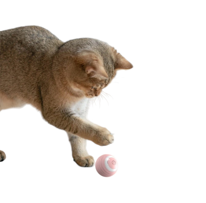 Smart Cat Ball Toys