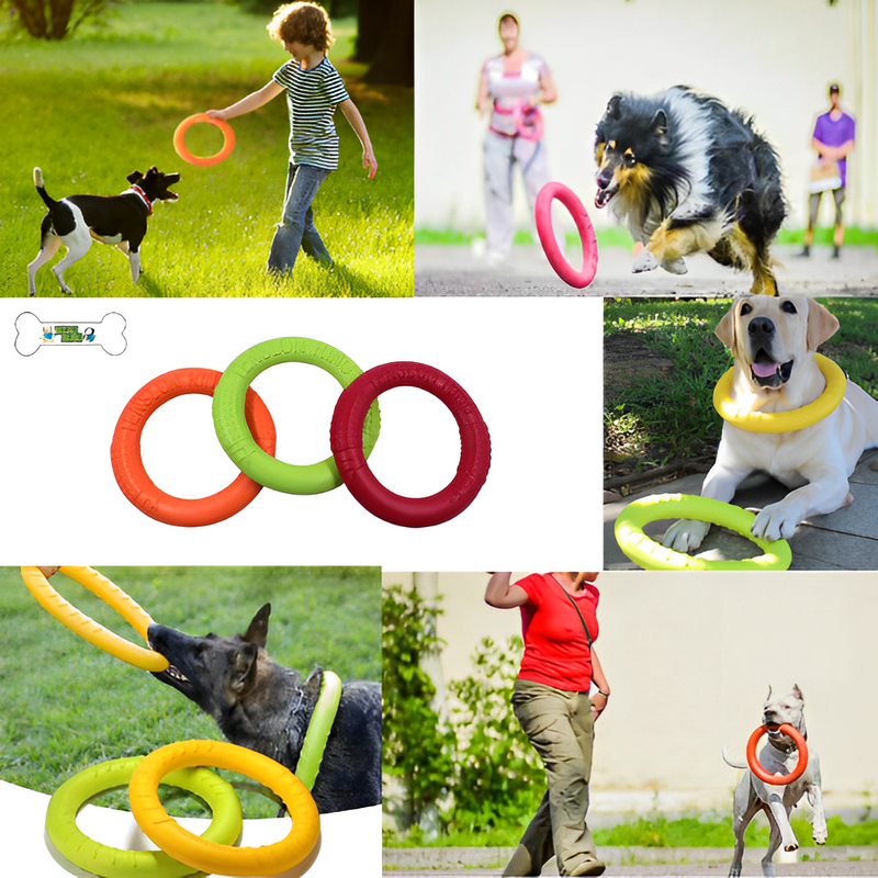 Dog Chew Disc Toy