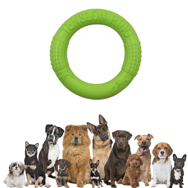 Dog Chew Disc Toy