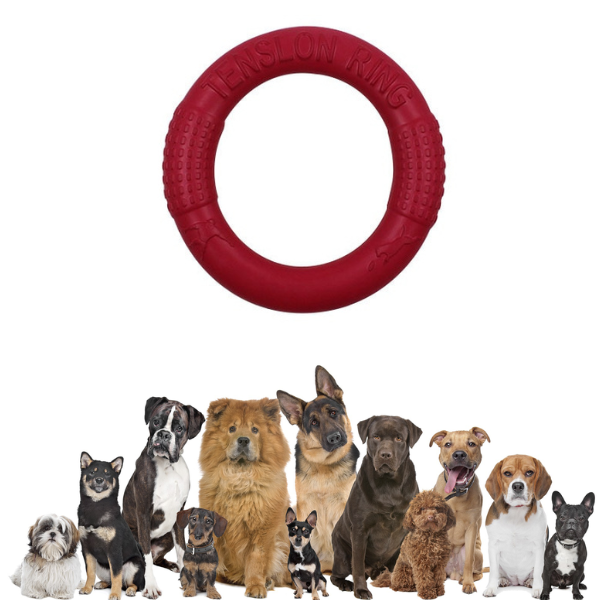 Dog Chew Disc Toy