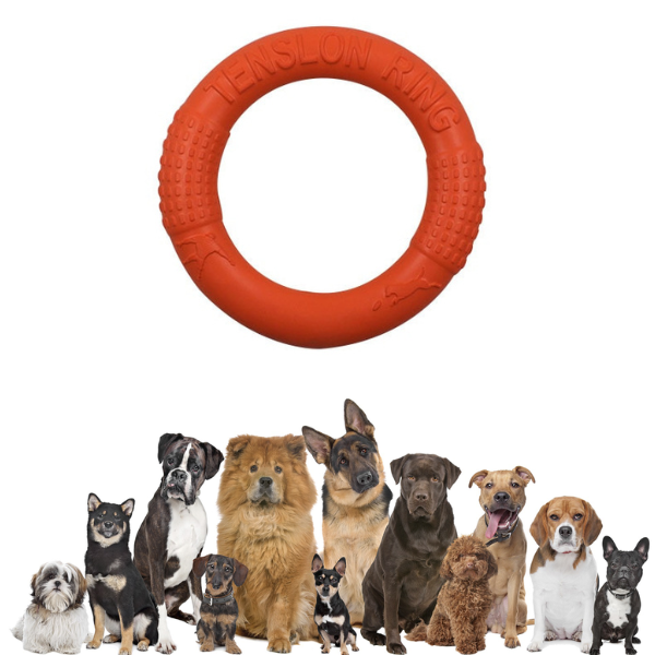 Dog Chew Disc Toy