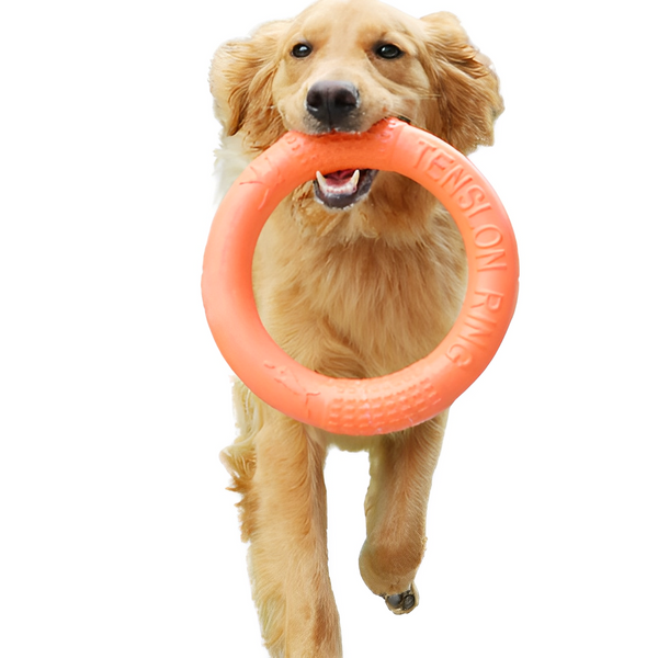 Dog Chew Disc Toy