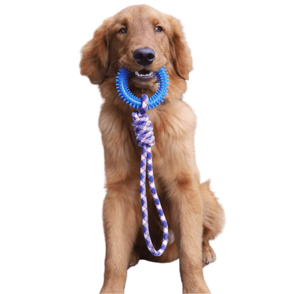 Interactive Rope Toy for Dogs