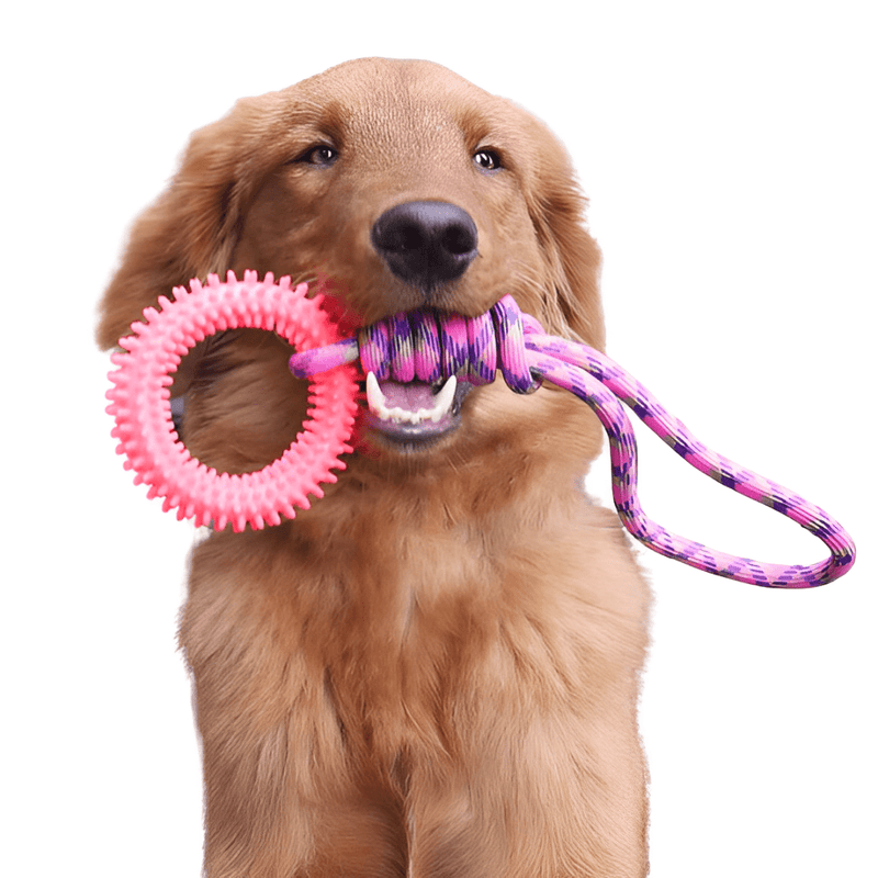 Interactive Rope Toy for Dogs