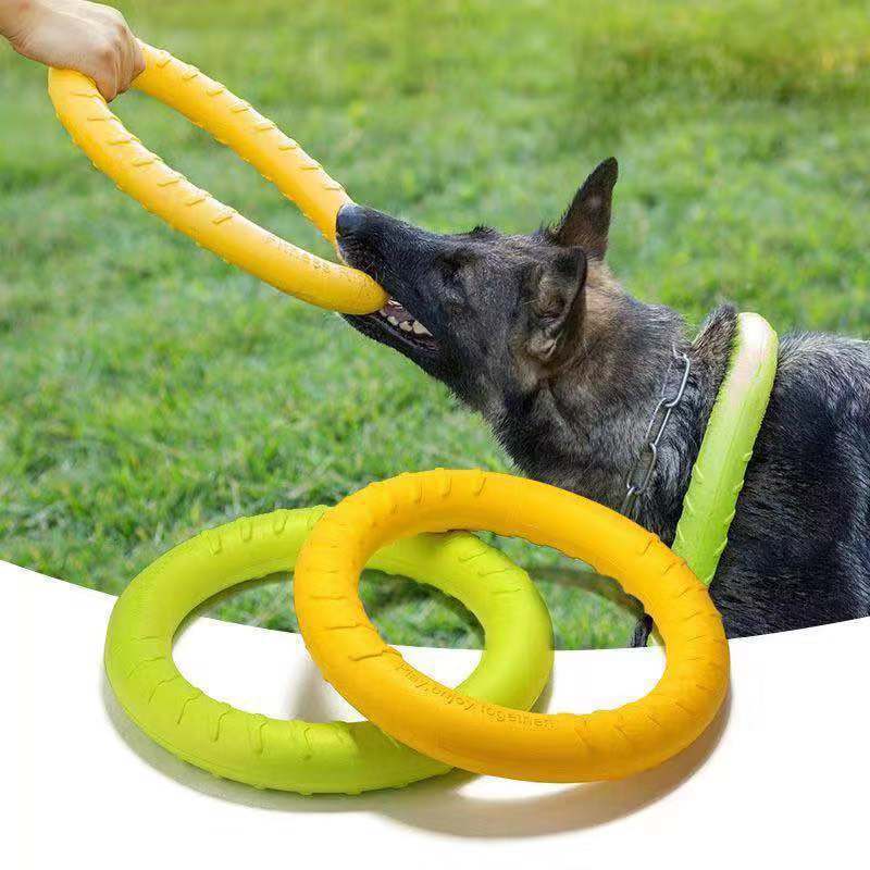 Dog Chew Disc Toy