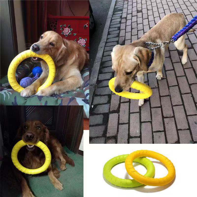 Dog Chew Disc Toy