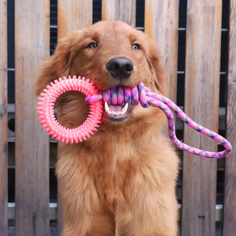 Interactive Rope Toy for Dogs