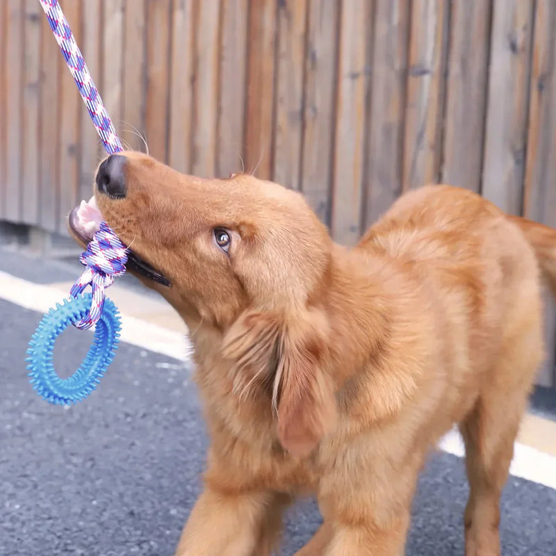 Interactive Rope Toy for Dogs